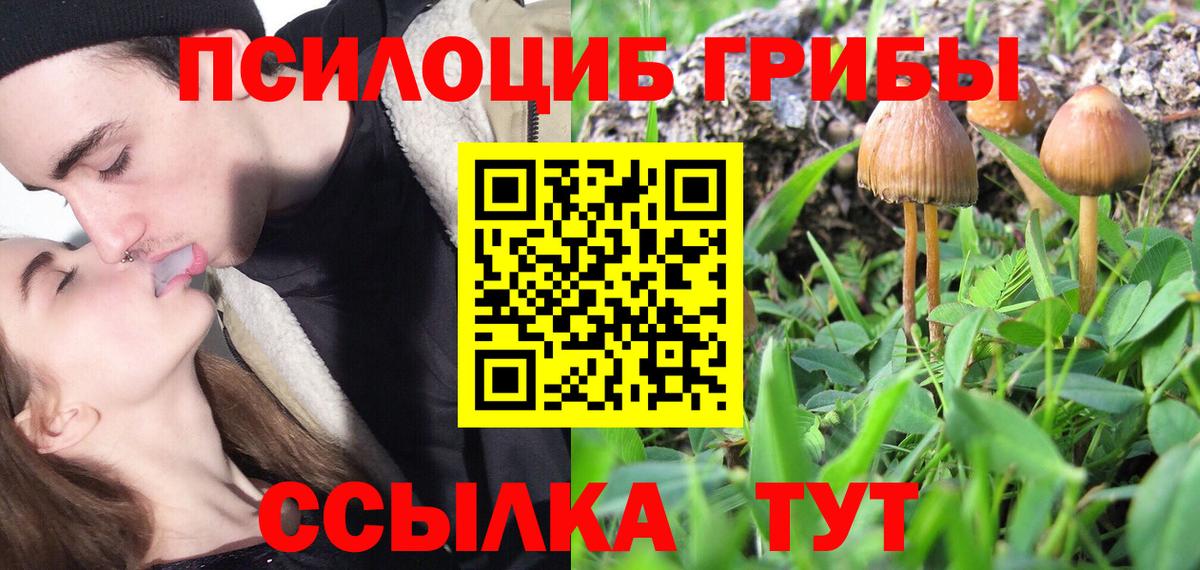 Псилоцибиновые грибы Cubensis  Вход с VPN  Качканар 