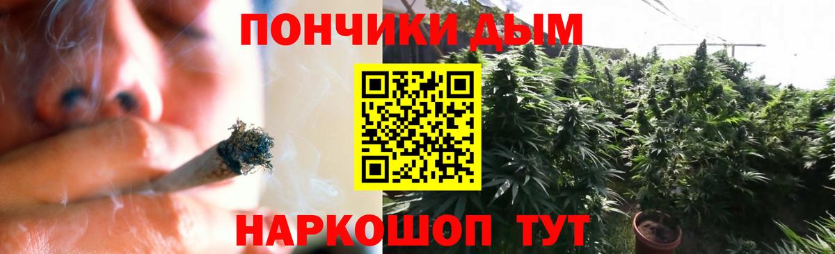 Бошки марихуана план Качканар